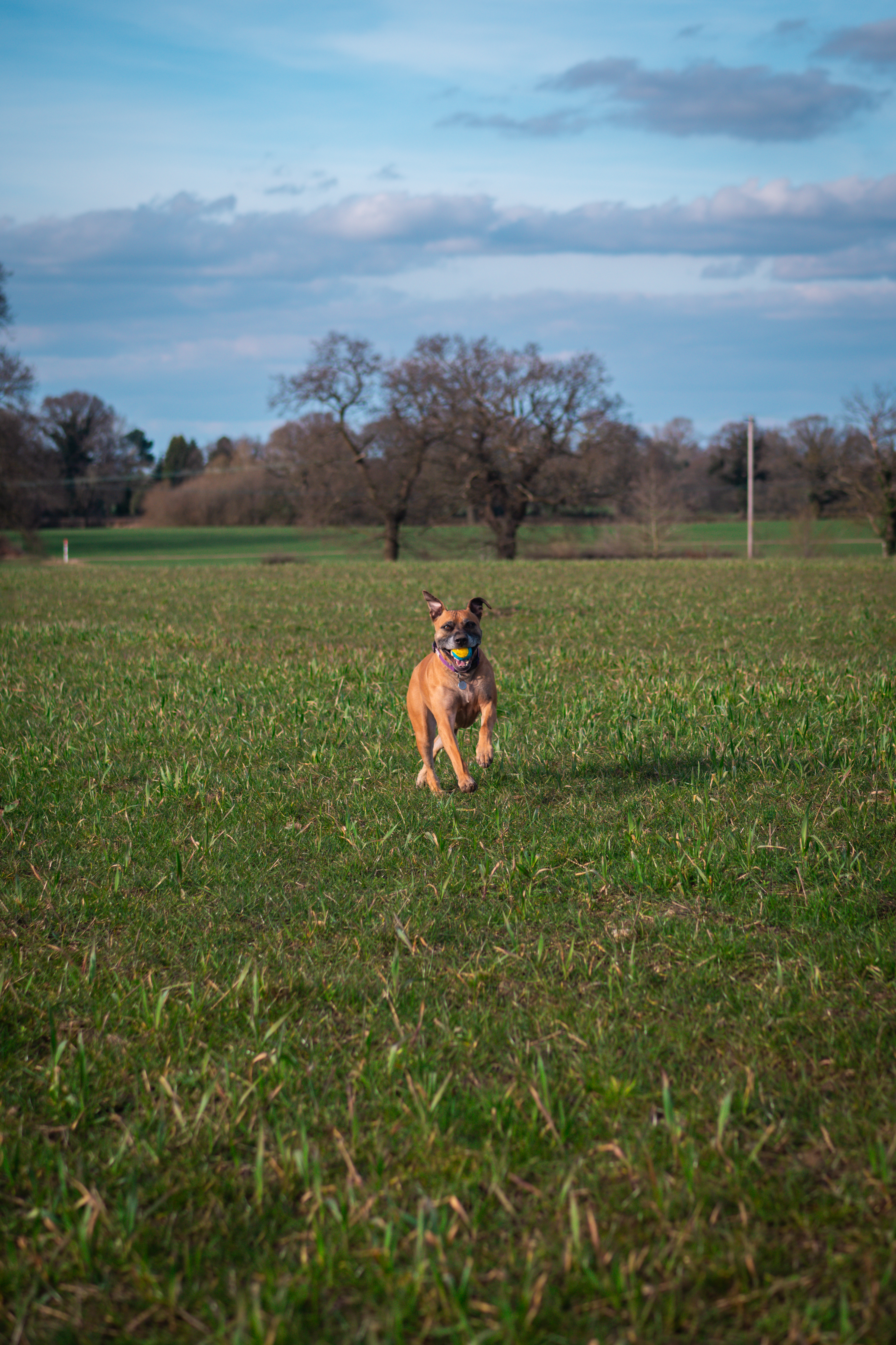 The Loose Lead Co. on Instagram