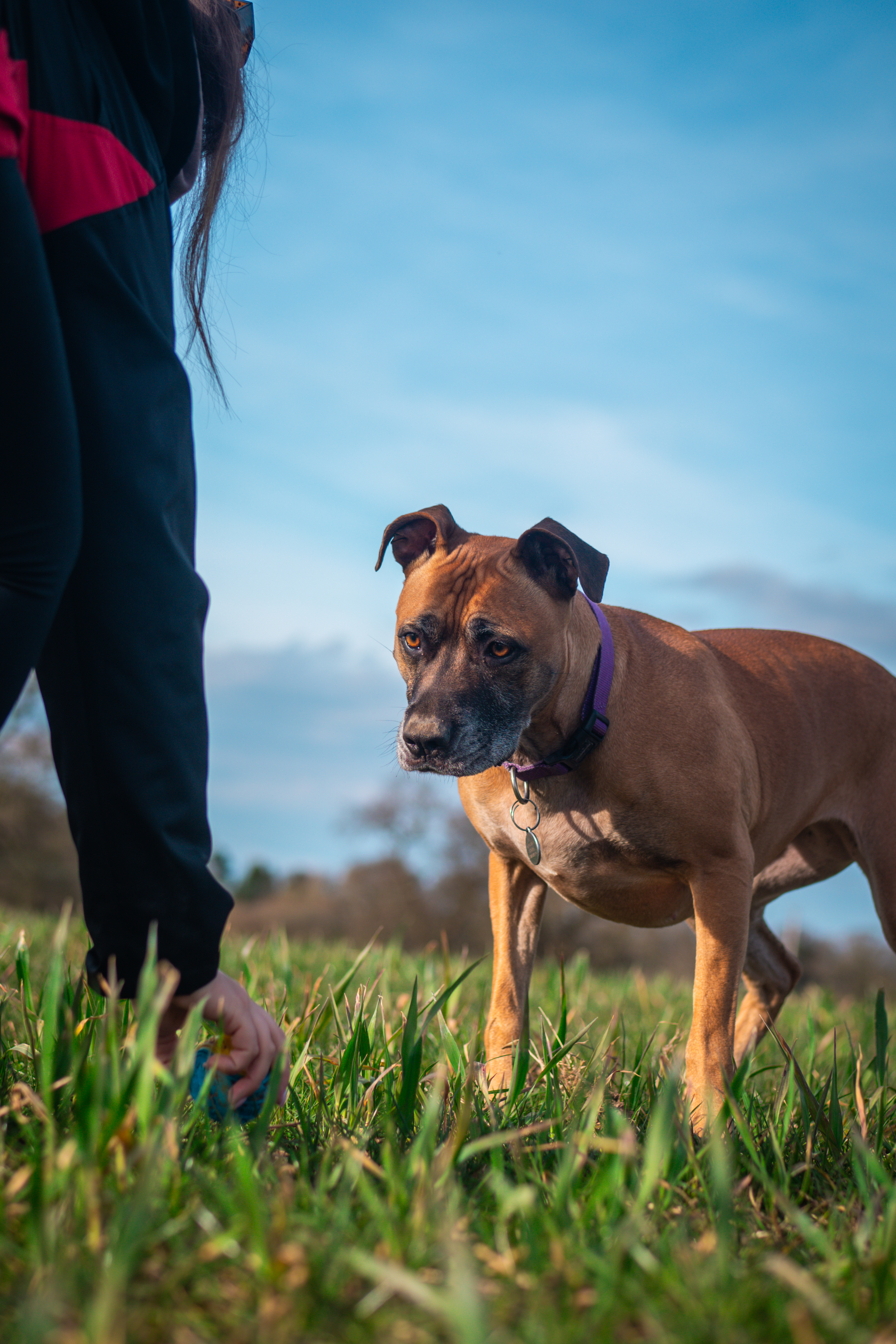 The Loose Lead Co. on Instagram